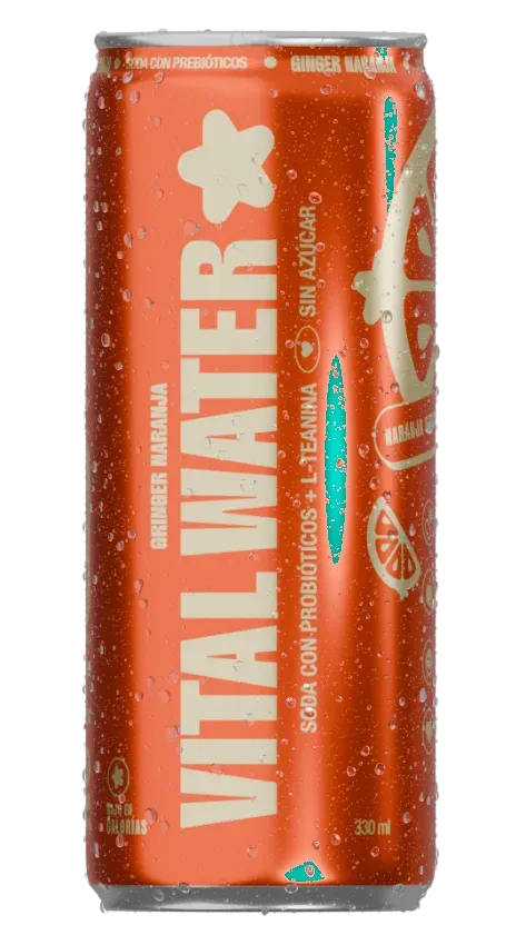 Lata ginger naranja