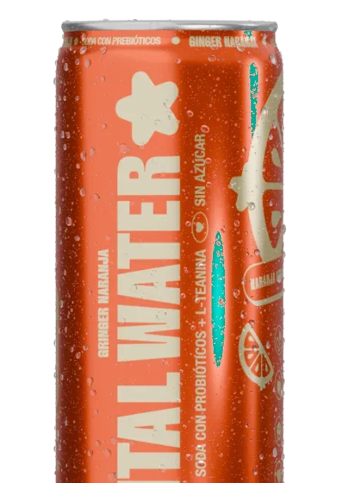 Lata ginger naranja